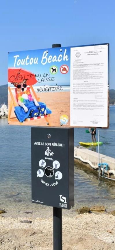 Studio Le Monroe Les Pieds Dans L'Eau 10 M De La Mer Ла Сен-сюр-Мер Екстериор снимка